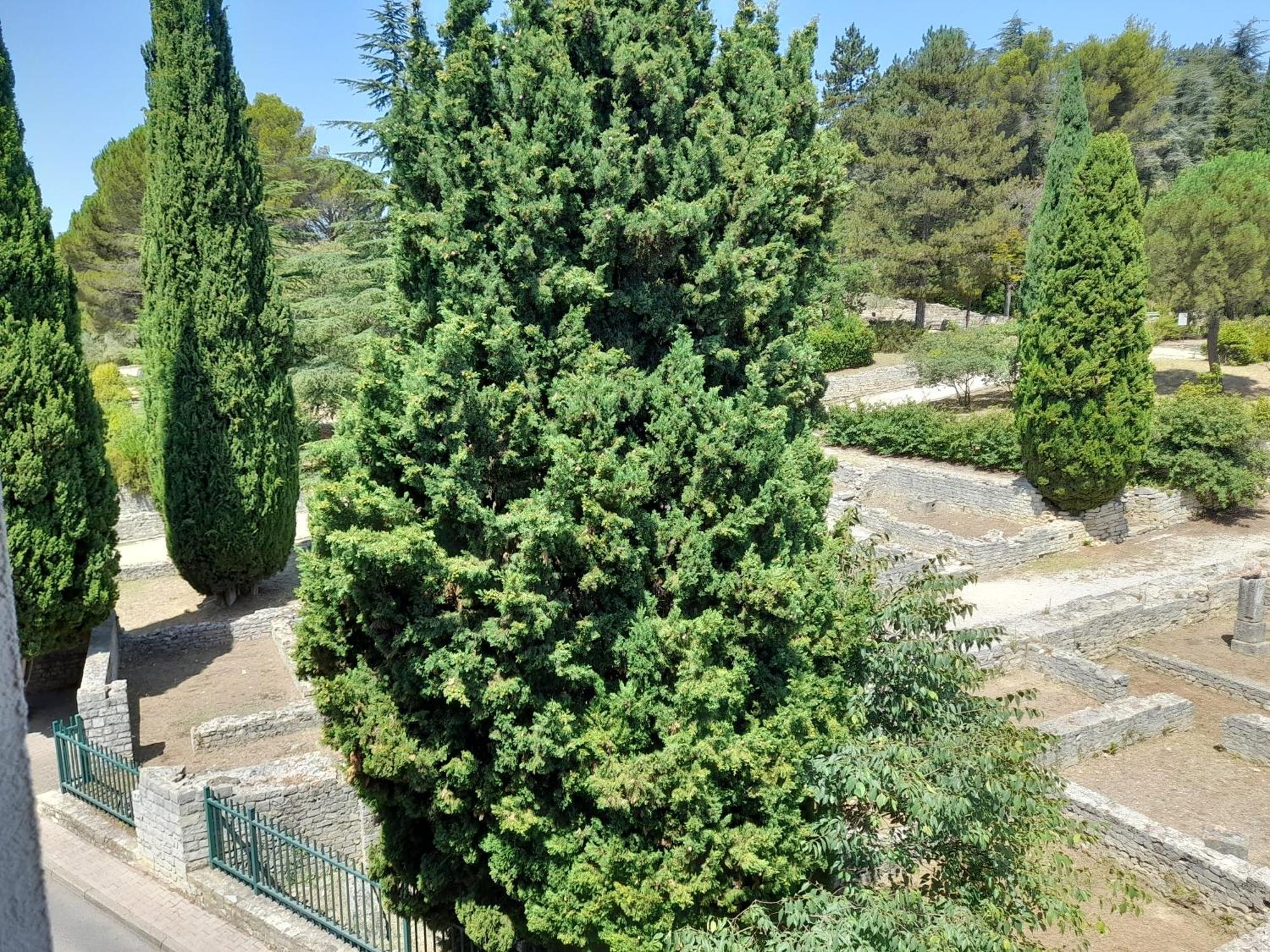 Grande Terrasse Et Vue Sur Le Site Antique Apartment Vaison-la-Romaine Exterior photo